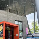 재미월드 | 아이랑 가도, 커플끼리도 찐재미 경주 루지월드 후기