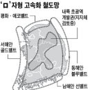 전국 감싸는 'ㅁ'자형 고속화 철도 추진 이미지