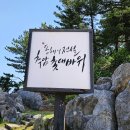 동해시 삼척 &#39;추암 해변&#39;과 &#39;촛대바위&#39; (2024. 5. 19) 이미지