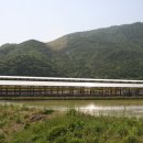 한성농장2 이미지