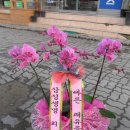 정읍박병원 이미지