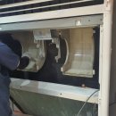 클린스쿨경기 이미지