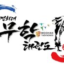 경희대 SKY 태권도장 이미지