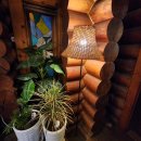 숲속통나무 이미지