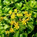 기린초등학교 이미지