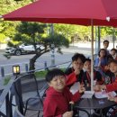 용인대 현대태권도장 이미지