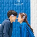 스튜디오카멜리아