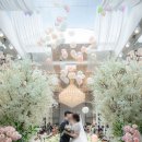 컨템포러리 미스터리 퍼포먼스 스냅 | 결혼식 준비_1(웨딩홀/더아리엘)