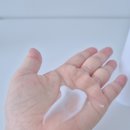 닥터패밀리 | [제품후기] 올인원 고보습 패밀리로션 닥터505 아토클 로션