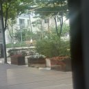 요셉미용실 | 🌸 상견례 앞두고 예쁜 분위기 여신으로 변신! 문정동미용실 요셉디자이너 레이어드컷 후기