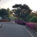 도자기공방-좋은나무기독학교 | 2025.04.26. 동네한바퀴, 여주 이도세라믹스튜디오, 달빛베이커리카페, 여주박물관, 여주도자세상.