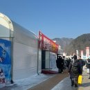 썬파인 | 산천어축제 ( 2026 1.17 토)주말 예약방문후기 + 야간낚시까지 ! + 준비물