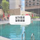 칼튼호텔 | 싱가포르 아이랑 숙소, 칼튼호텔 위치 수영장 디럭스룸 후기