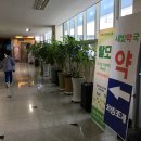 4층새빛약국 네이버블로그