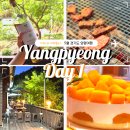 GS25신일강변점 | [양평여행] Day 1 코스 | 계곡의 아침, 투썸플레이스 망고생 후기