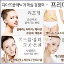 디아뜨2 이미지