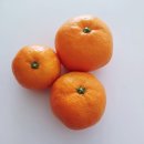 청원영농조합법인 이미지