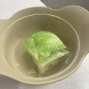 실리콘냄비 실리프랑 촉촉 스팀 멀티찜기 전자레인지 양배추찜 만들기