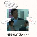쌤쌤의영어회화