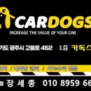 카독스 이미지