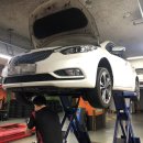 프로카센타 이미지