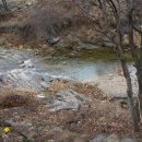 감자 바우 이미지