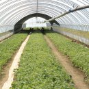 종순농장 이미지