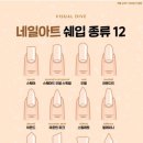 하얀네일 이미지