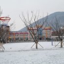 박진희약국 이미지