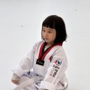 오로라 태권도장 이미지