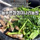 늘푸른마트 | 양산 미나리삼겹살 맛집 여기였네... 원동 24번 늘푸른미나리농원 솔직후기