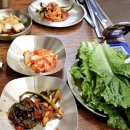 신갈매기