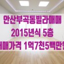 신대한공인중개사사무소 이미지