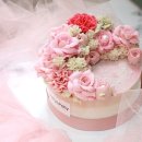 롤리 앤 폴리 이미지