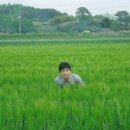 머스마 Daum카페