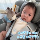 인형# | 아기 애착인형 추천:) 슈테른탈러 에미 오르골 인형 사용후기