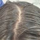 앤디살롱 이미지