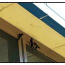 성진농원민박 이미지