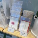 서현역꽃집 가진플라워 | 내돈내산 만족후기