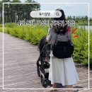 골든코어 | 가벼운 기저귀가방 백팩 추천 (보냉 이너백 포함 4만 원대 가성비 좋음)