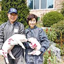 청일컨설팅 이미지