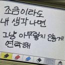 Holly Molly 이미지