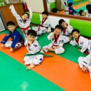 석사태권도 이미지