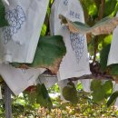 논일농장 이미지