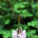 무릉회관 이미지