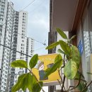 다이소 초량점 | [부산] 빵지순례 부산역 빵집 초량온당 방문 후기