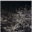 천마아이태권도장 이미지