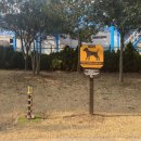 모래 공중화장실 이미지