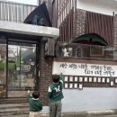 강아지 공화국 | [카페] 청주 운리단길 고양이입양지원센터 고양이카페 '애니멀공화국' 방문해서 힐링타임보낸 후기