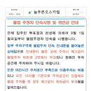 불법 주정차 단속시행 및 위반금 안내 이미지